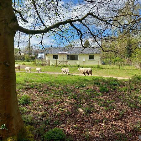 The Bungalow, Forest Of Dean Coleford  Exterior photo