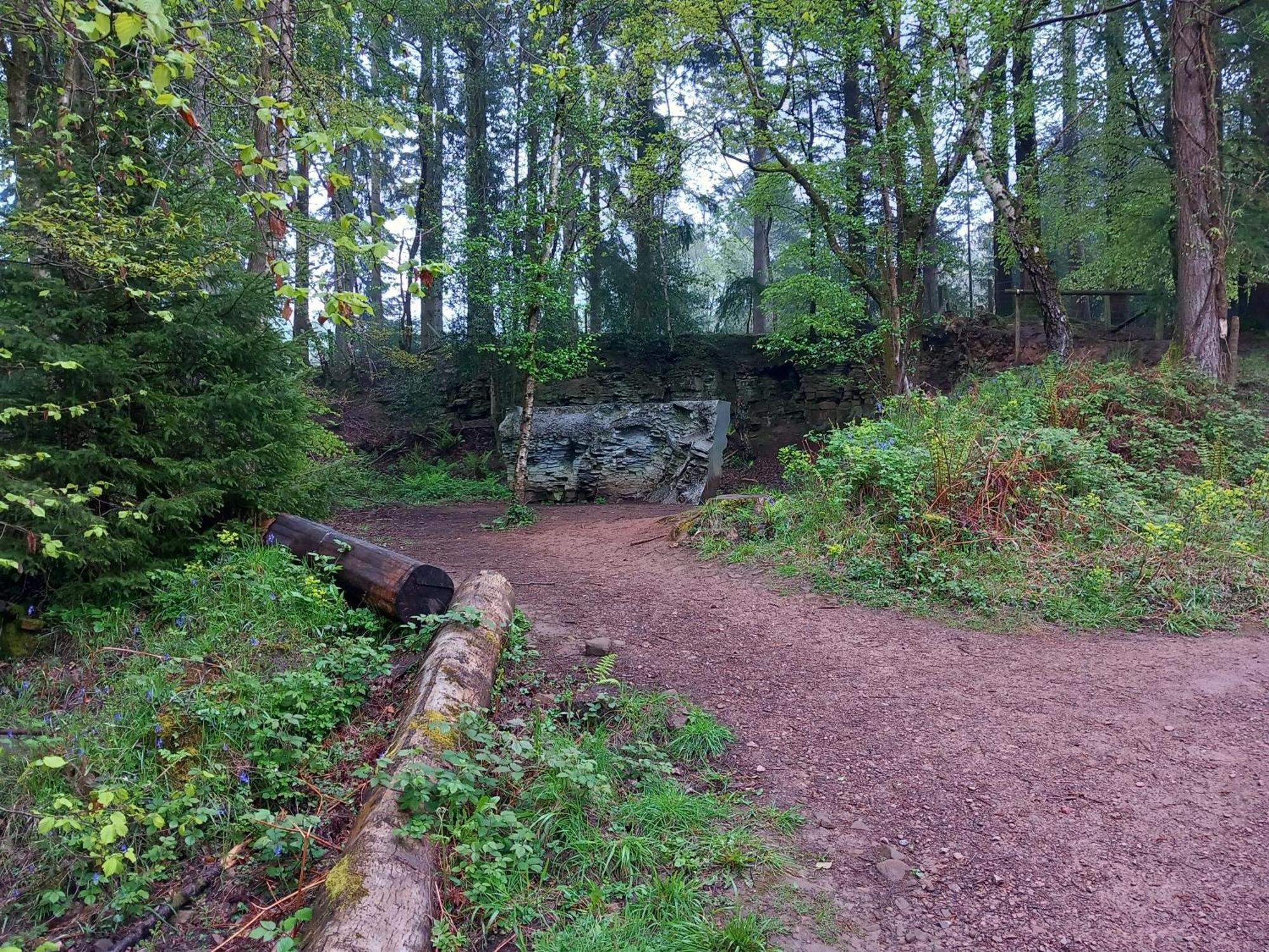 The Bungalow, Forest Of Dean Coleford  Exterior photo